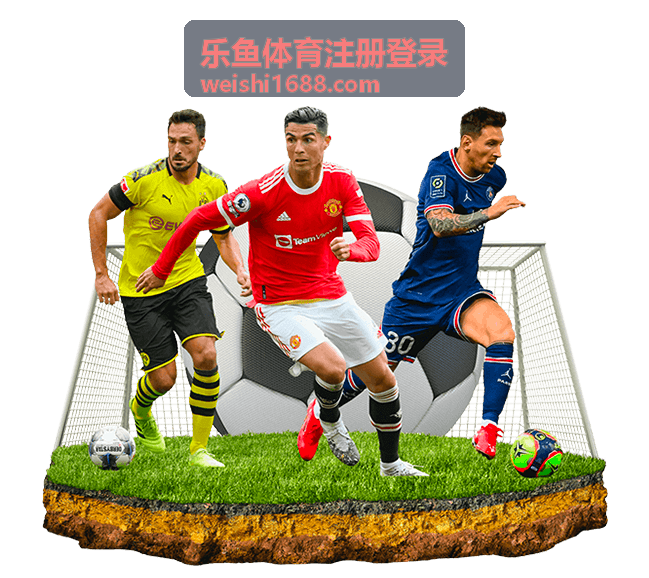 乐鱼体育注册登录平台活力运动图